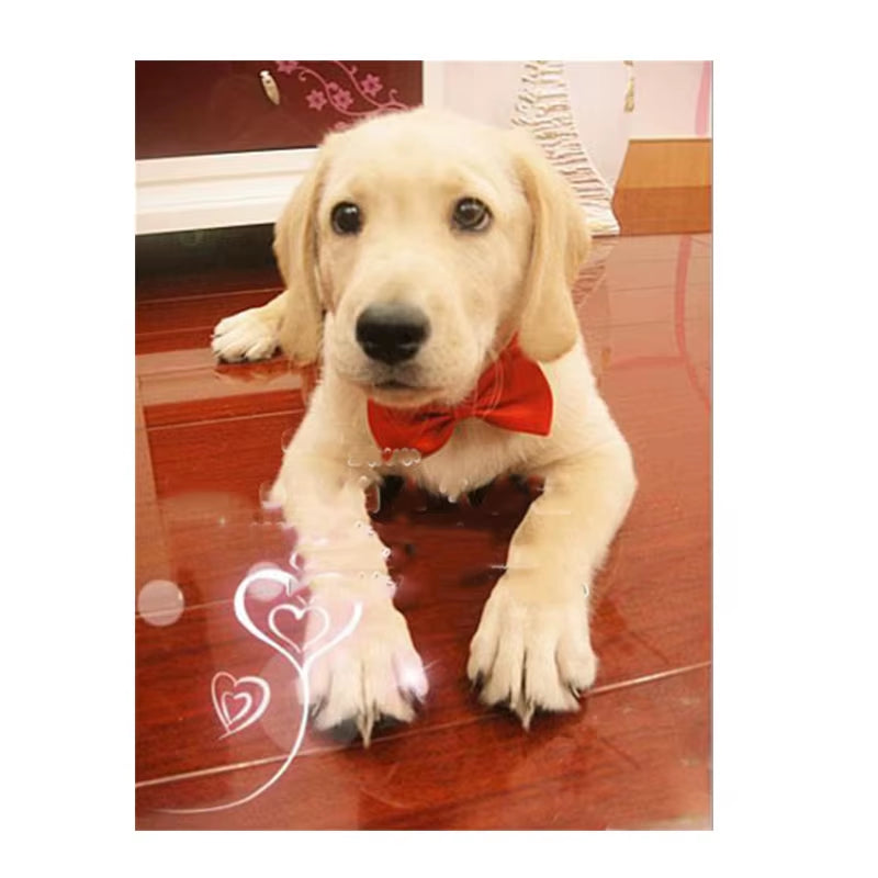 Pet Dog Cat Necklace Adjustable Strap for Cat Collar Dogs Accessories Pet Dog Bow Tie Puppy Bow Ties Dog Pet Supplies