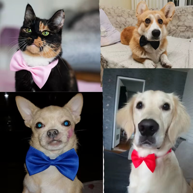 Pet Dog Cat Necklace Adjustable Strap for Cat Collar Dogs Accessories Pet Dog Bow Tie Puppy Bow Ties Dog Pet Supplies