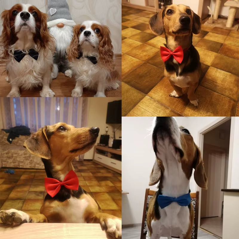 Pet Dog Cat Necklace Adjustable Strap for Cat Collar Dogs Accessories Pet Dog Bow Tie Puppy Bow Ties Dog Pet Supplies